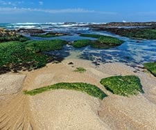 Bordeaux-Ponta Delgada