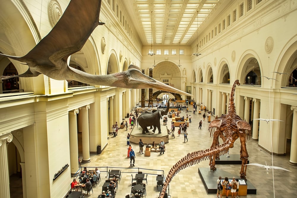 American Museum of Natural History