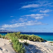 Fuerteventura